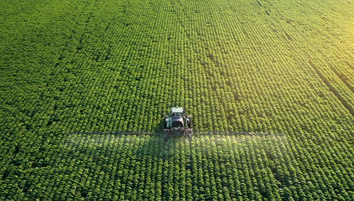 Pesticides vs Biodiversité : continuons à préserver le vivant !
