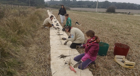 Chantier participatif du programme Des Terres et Des Ailes à Gabian