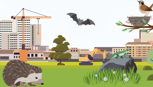 Atelier Fabrication de nichoirs