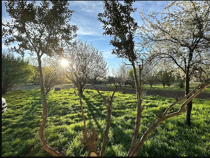 Jojo Bio Maraîchage