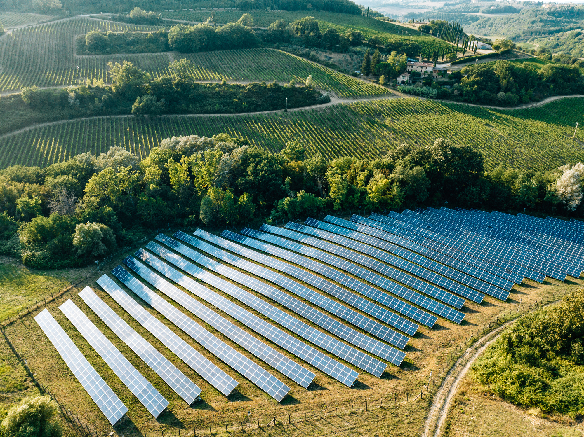 Actes du Séminaire Photovoltaïque et Biodiversité