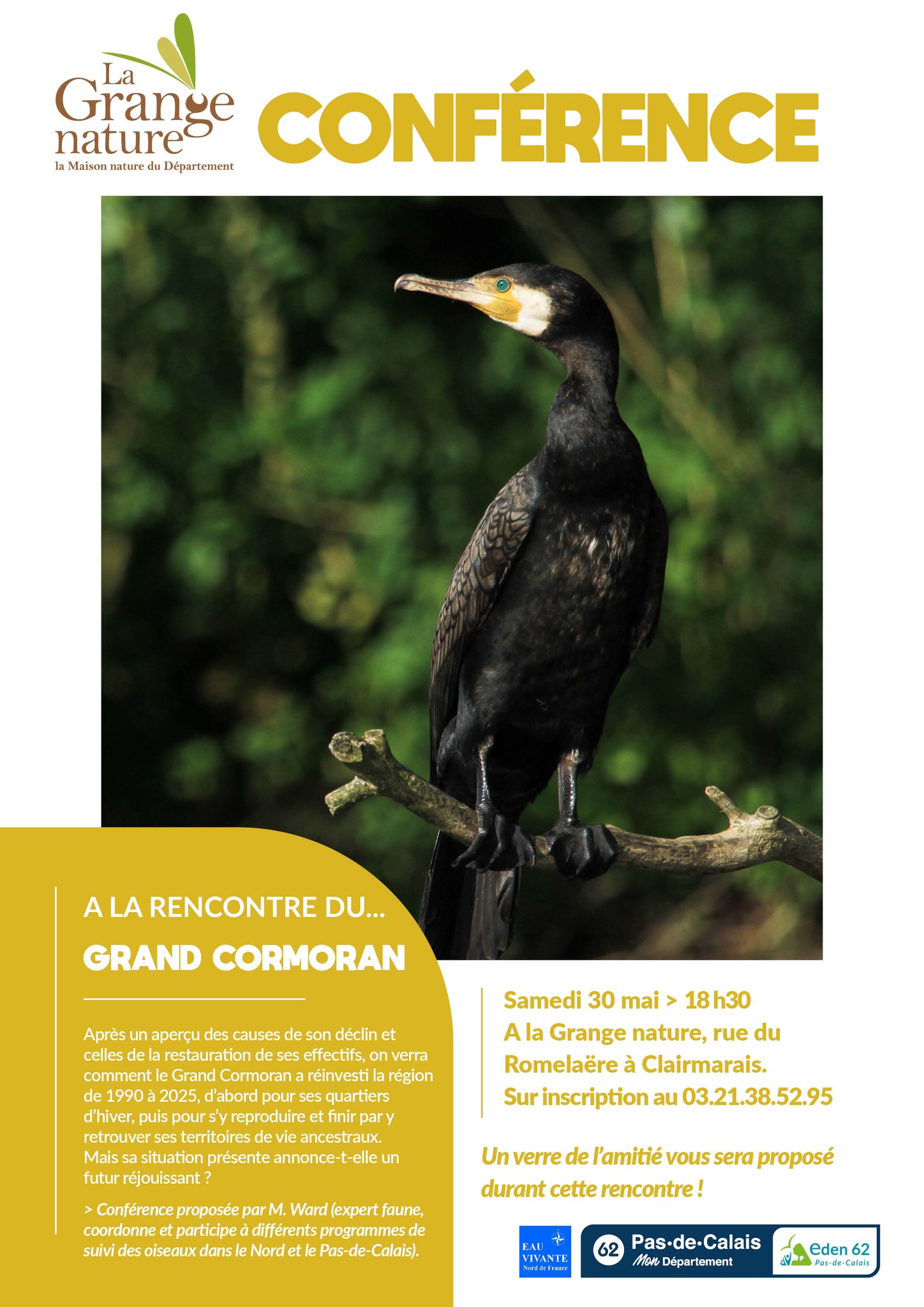 A la rencontre du grand cormoran