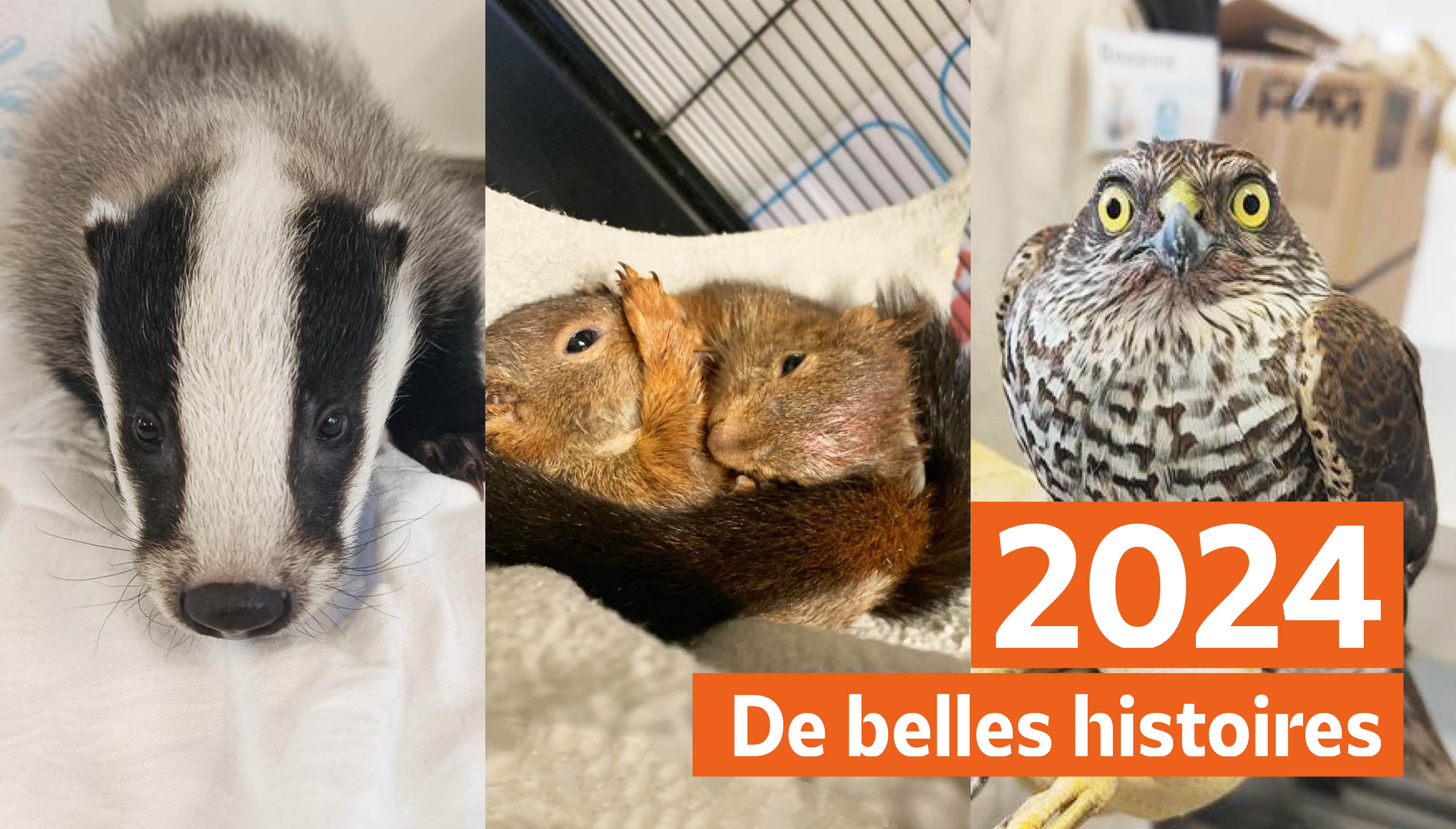Les belles histoires du Centre de soins en 2024