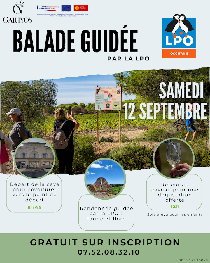 Balade guidée avec la cave Galhyos