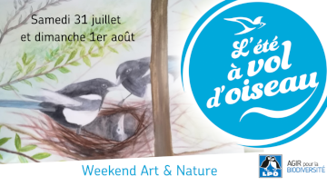 Retour en image sur notre weekend Art & Nature