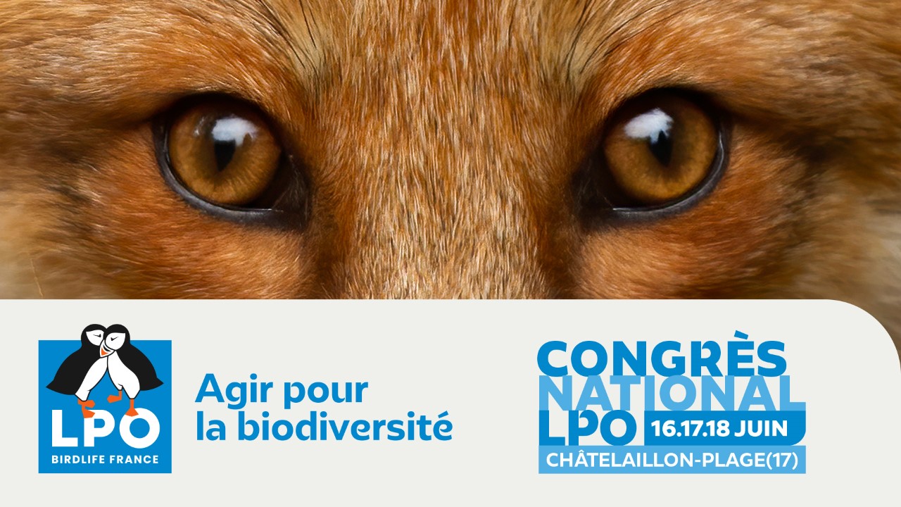 Congrès national de la LPO 2023