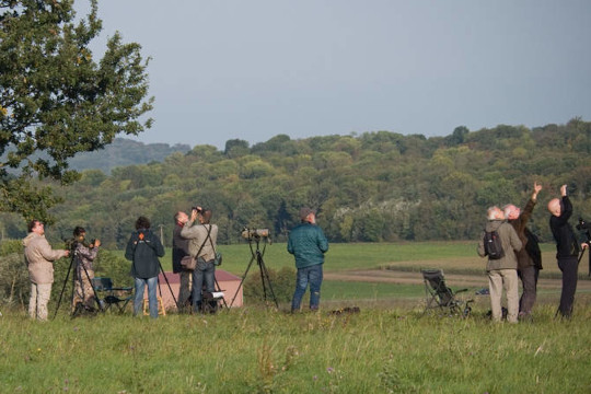 Groupe local Plaine et forêt du Pays de France