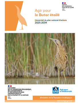 Essentiel du PNA en faveur du Butor étoilé