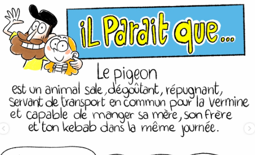 IL PARAIT que… le pigeon