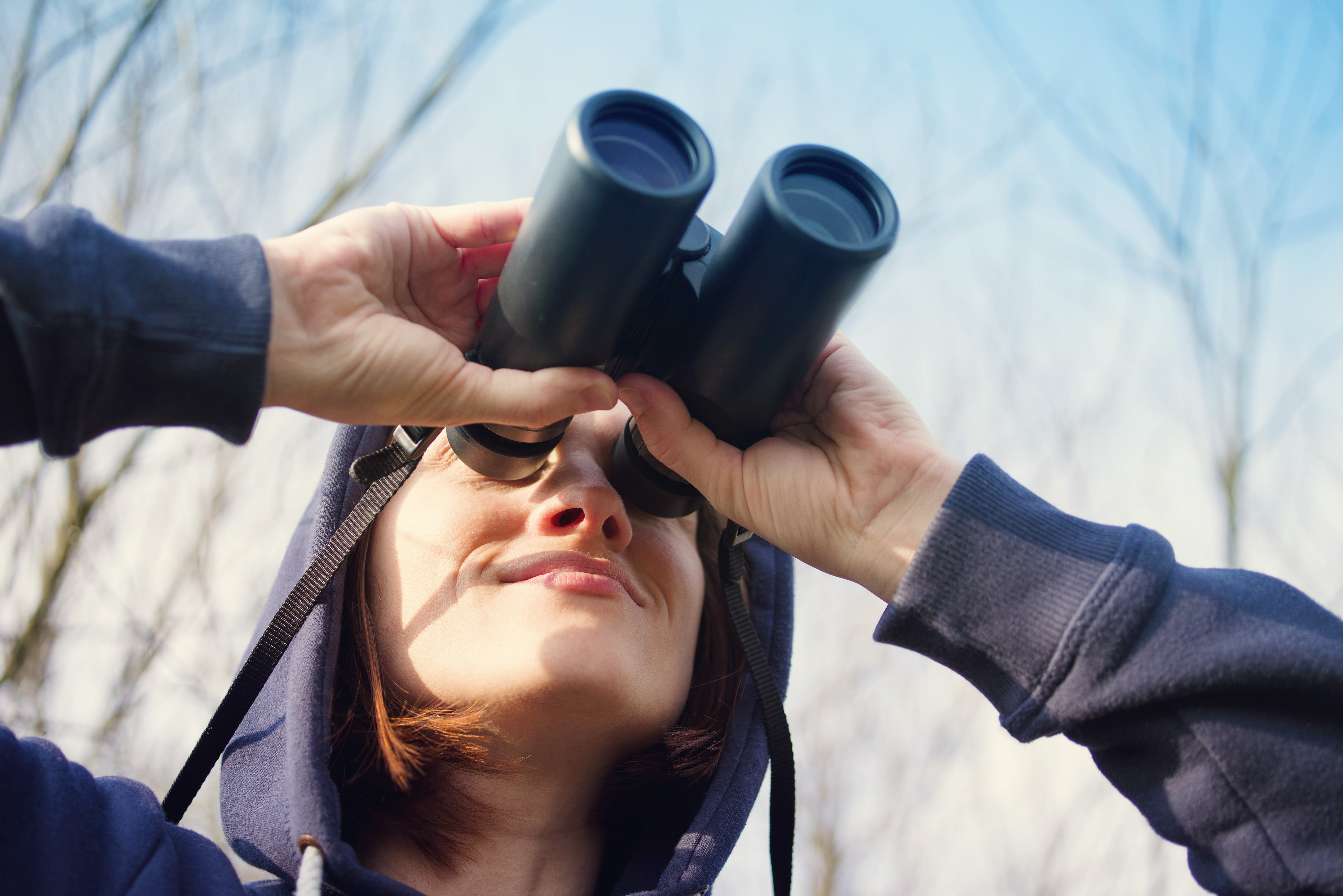 Observation et baguage sur une mangeoire à Fougerolles