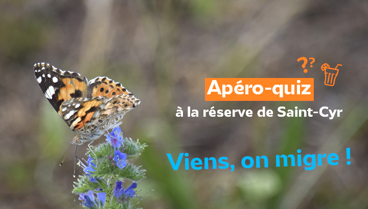 Apéro-quiz : Viens, on migre !