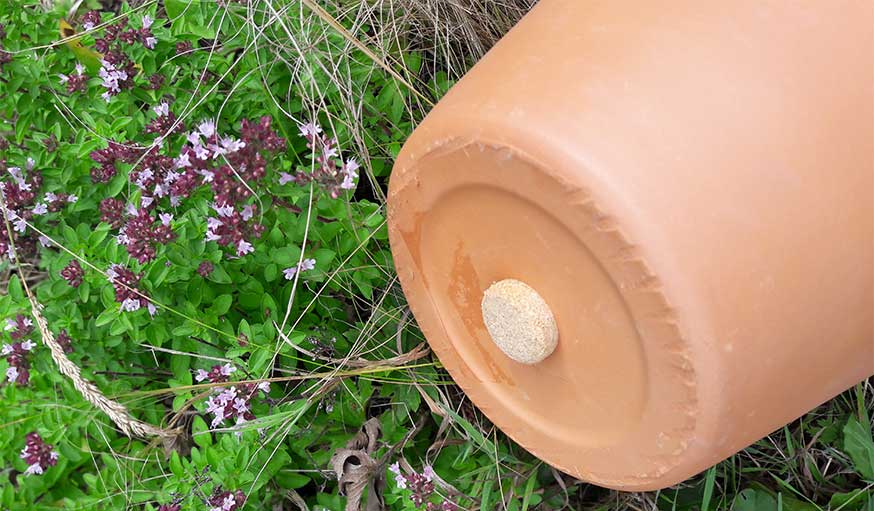 Les soucoupes placées sous les pots de fleurs constituent des petites