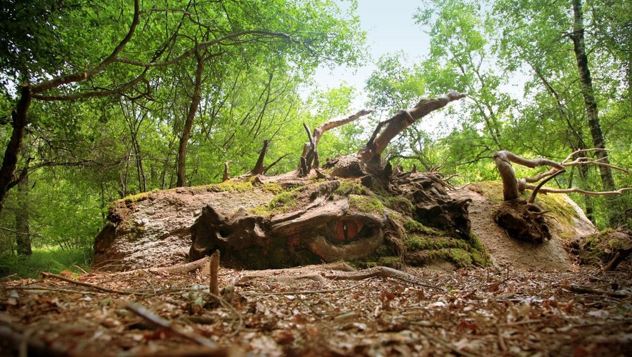 A la découverte d’une zone humide, une sagne