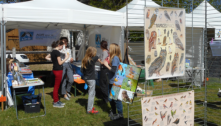 Préparation de la saison des stands (37)