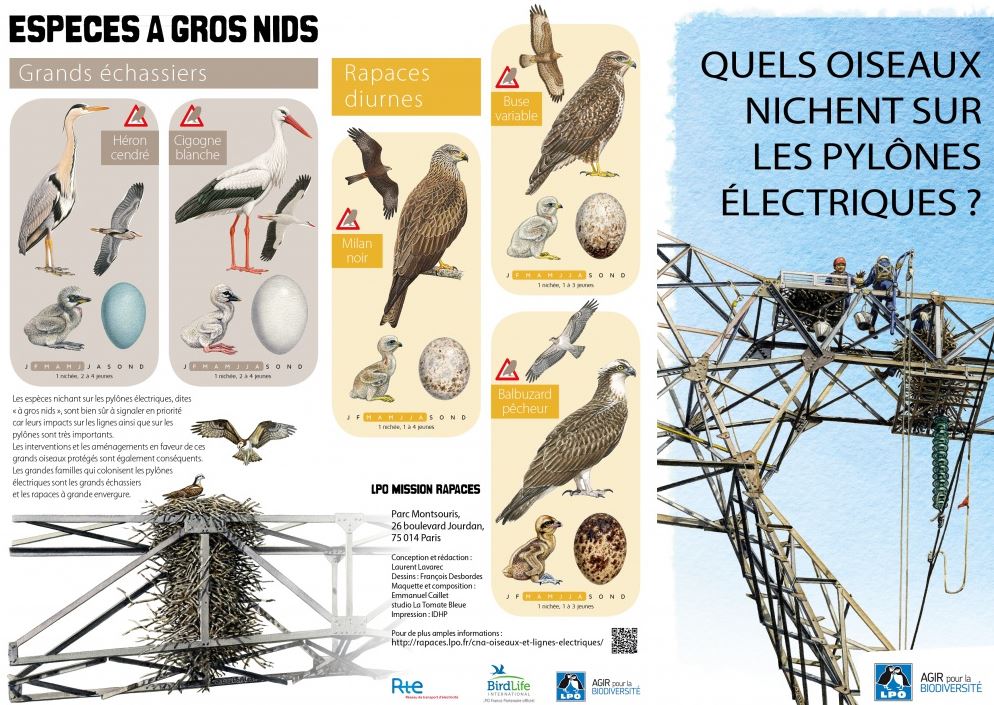 dépliant : Quels oiseaux nichent sur les pylônes électriques ?