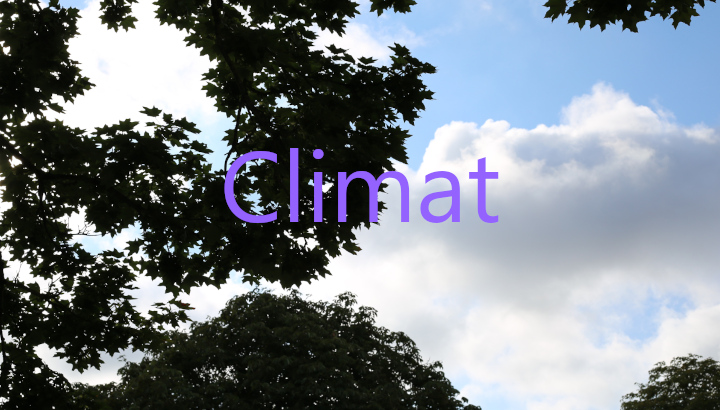 Changements climatiques : Les jardins sauvages sont des solutions fondées sur la nature
