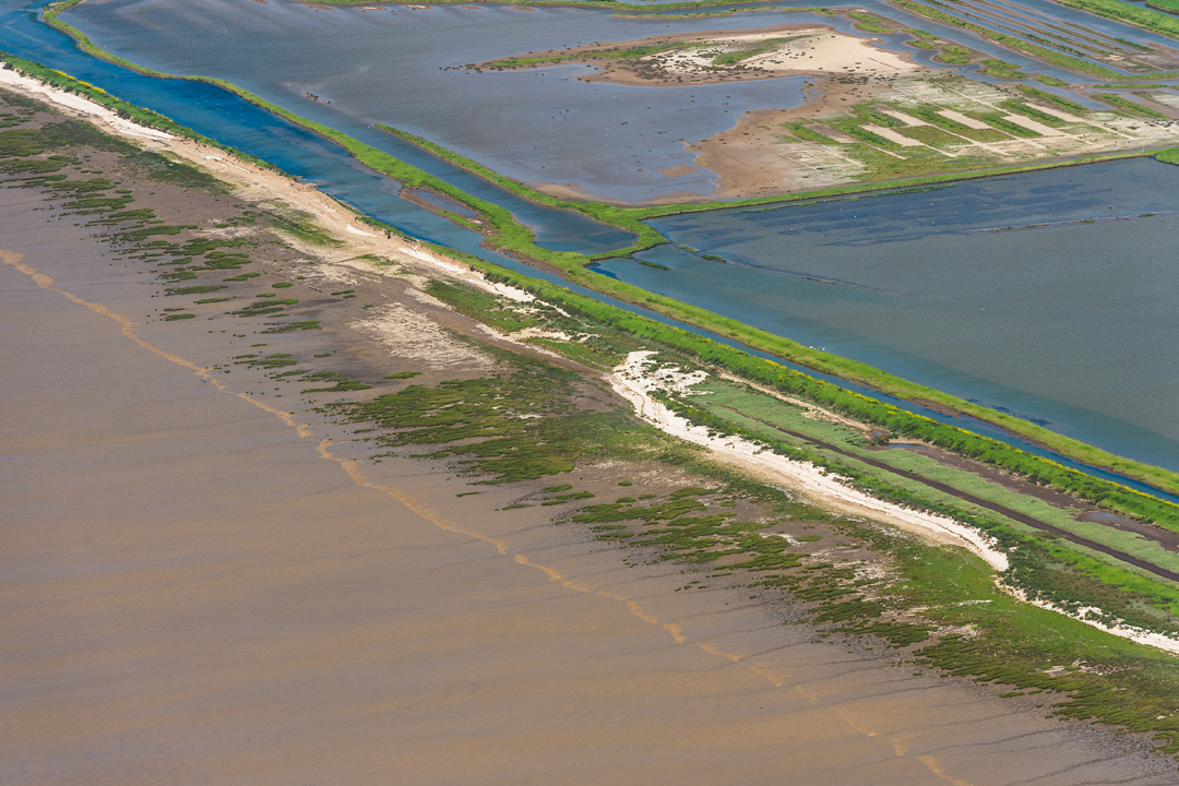 Réserve naturelle de Moëze-Oléron vue du ciel