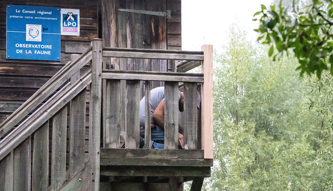 Restauration des observatoires du Lac de Rillé