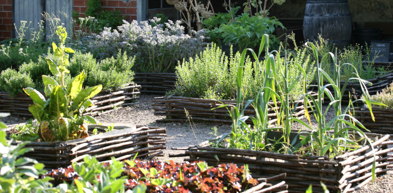 Potager du Roy de Rochefort © Nicolas Macaire