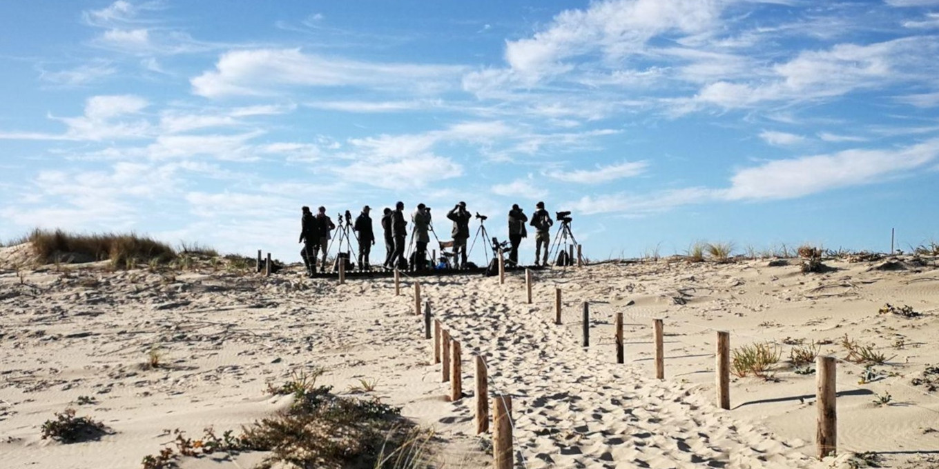 Observateurs sur la Pointe du Cap Ferret
