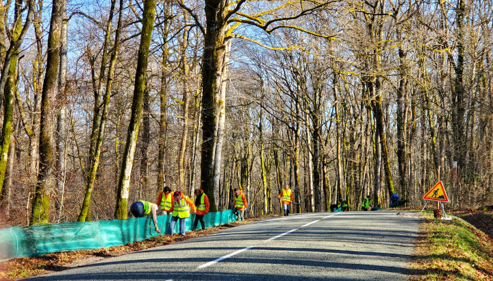 Démontage du dispositif amphibiens à Éloie