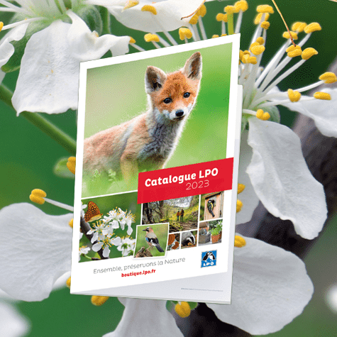 catalogue Boutique LPO 2023