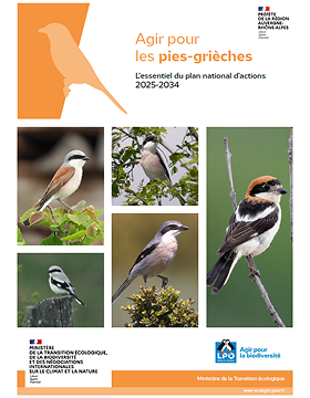 Essentiel du PNA en faveur des Pies-grièches