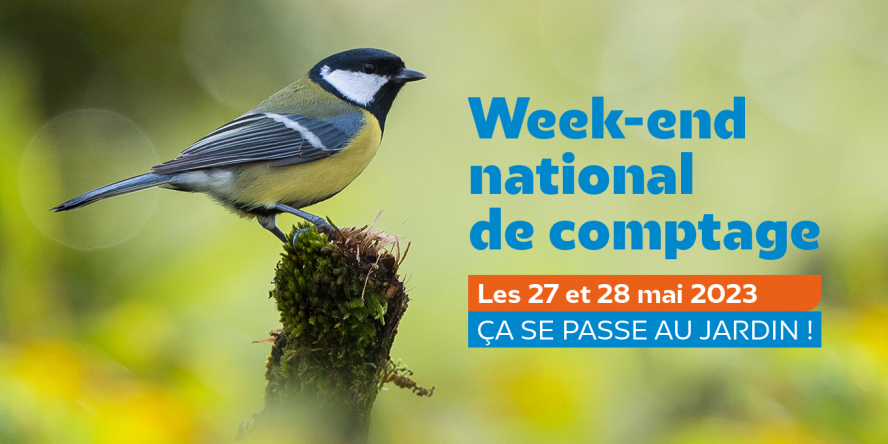 Comptage national des oiseaux des jardins les 27 et 28 mai 2023