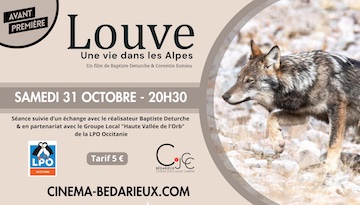 « Louve, une vie dans les Alpes »