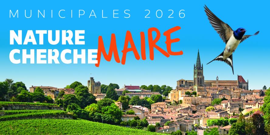 Interview d'Allain Bougrain Dubourg par l'association France Villes et territoires Durables (FVD)