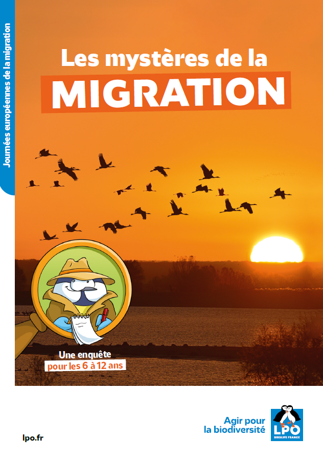 visuel dépliant les mystères de la migration