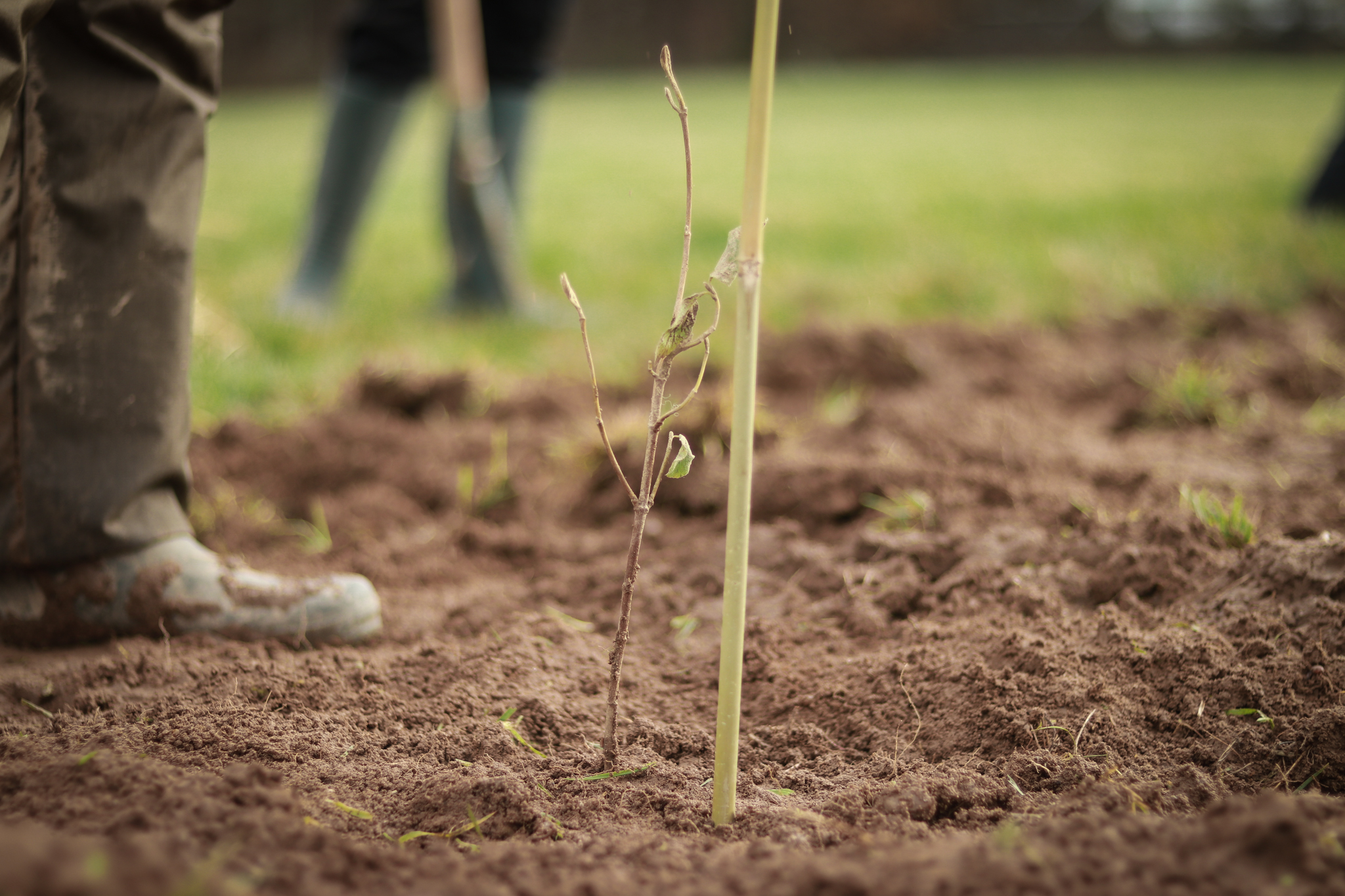 « Semons la biodiversité dans les fermes ! » à Val-Sonnette