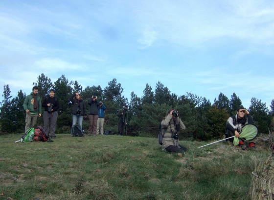 groupe de jeunes en observation