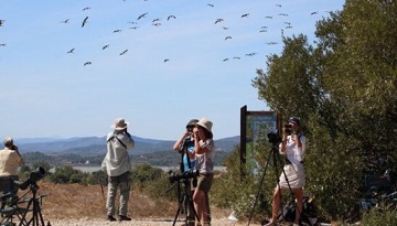 Observez les oiseaux migrateurs avec la LPO en région Occitanie et Pays catalan !