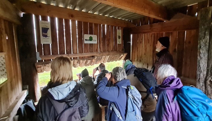 Les oiseaux hivernants au Domaine des Oiseaux de Mazères.