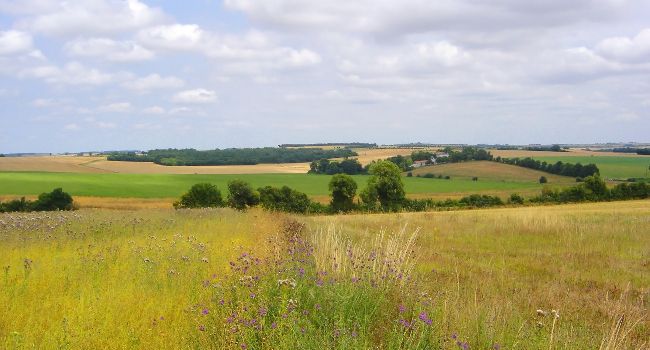 Le crash-test de la Stratégie Nationale Biodiversité