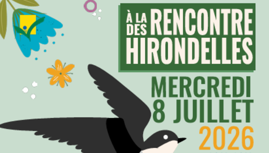 A la rencontre des Hirondelles