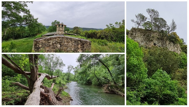Journée Internationale de la Biodiversité : zoom sur la propriété LPO de La Roque Bernard dans le Gard