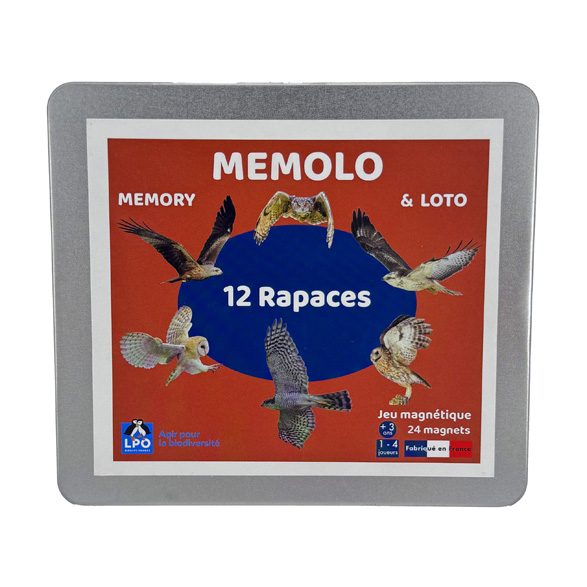 Memolo XL - Rapaces