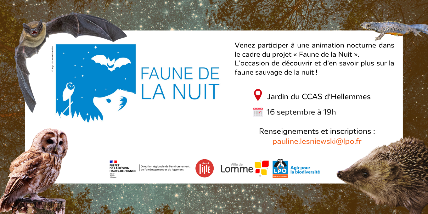 Faune de la nuit - Jardin du CCAS d'Hellemmes