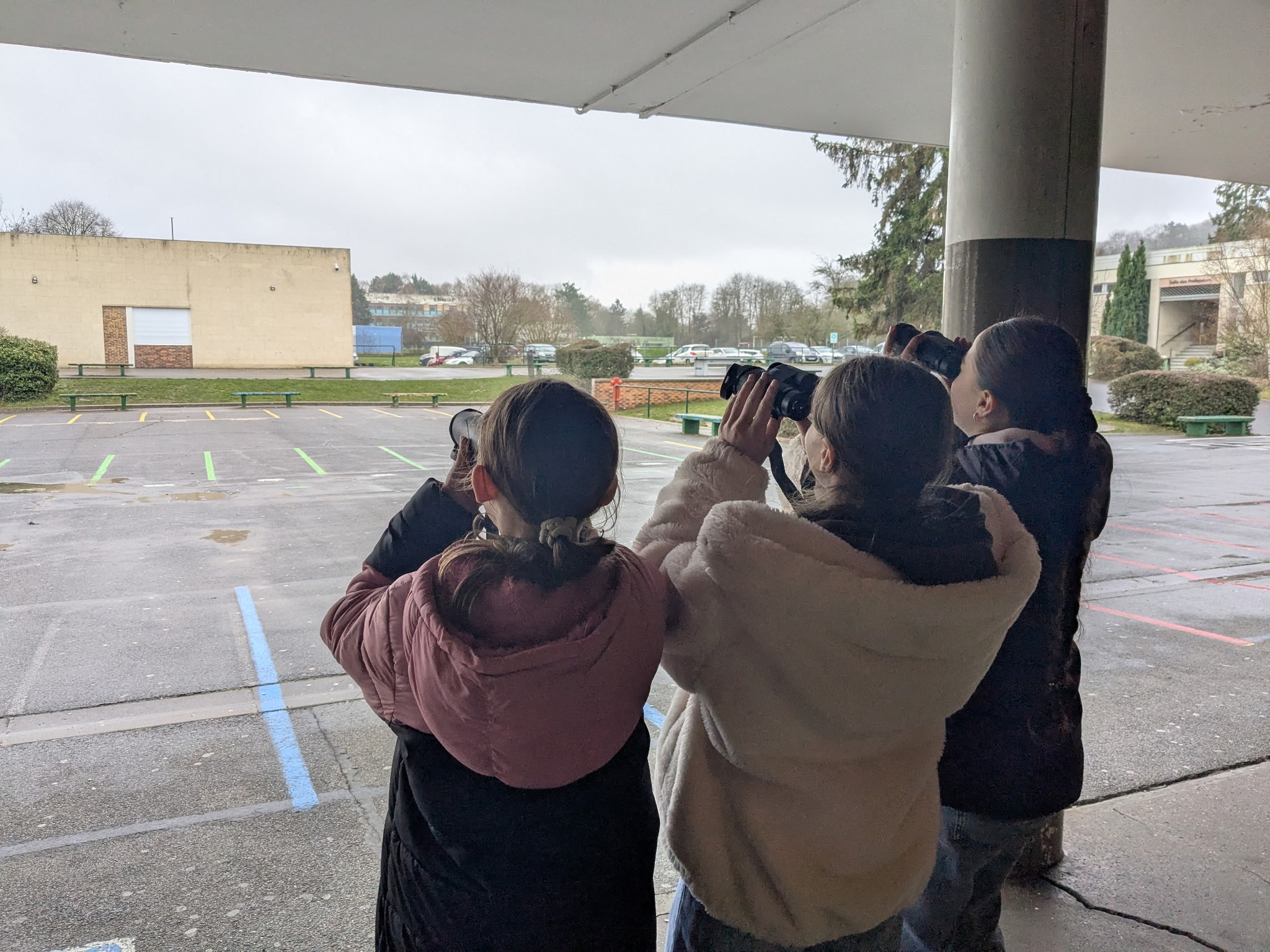 Animation au collège Gérard Philipe