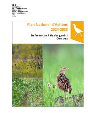 PNA en faveur du Râle des genêts