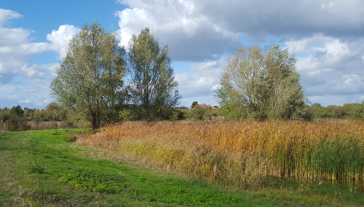 Agissons pour la Plaine des Bordes à Chennevières-sur-Marne