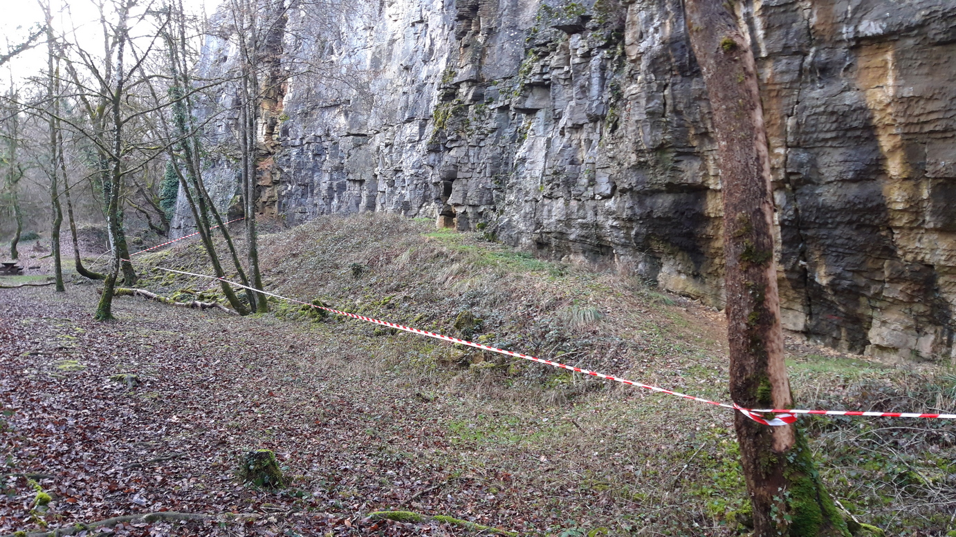 Faucons Pèlerins et Grands Corbeaux en Haute-Marne