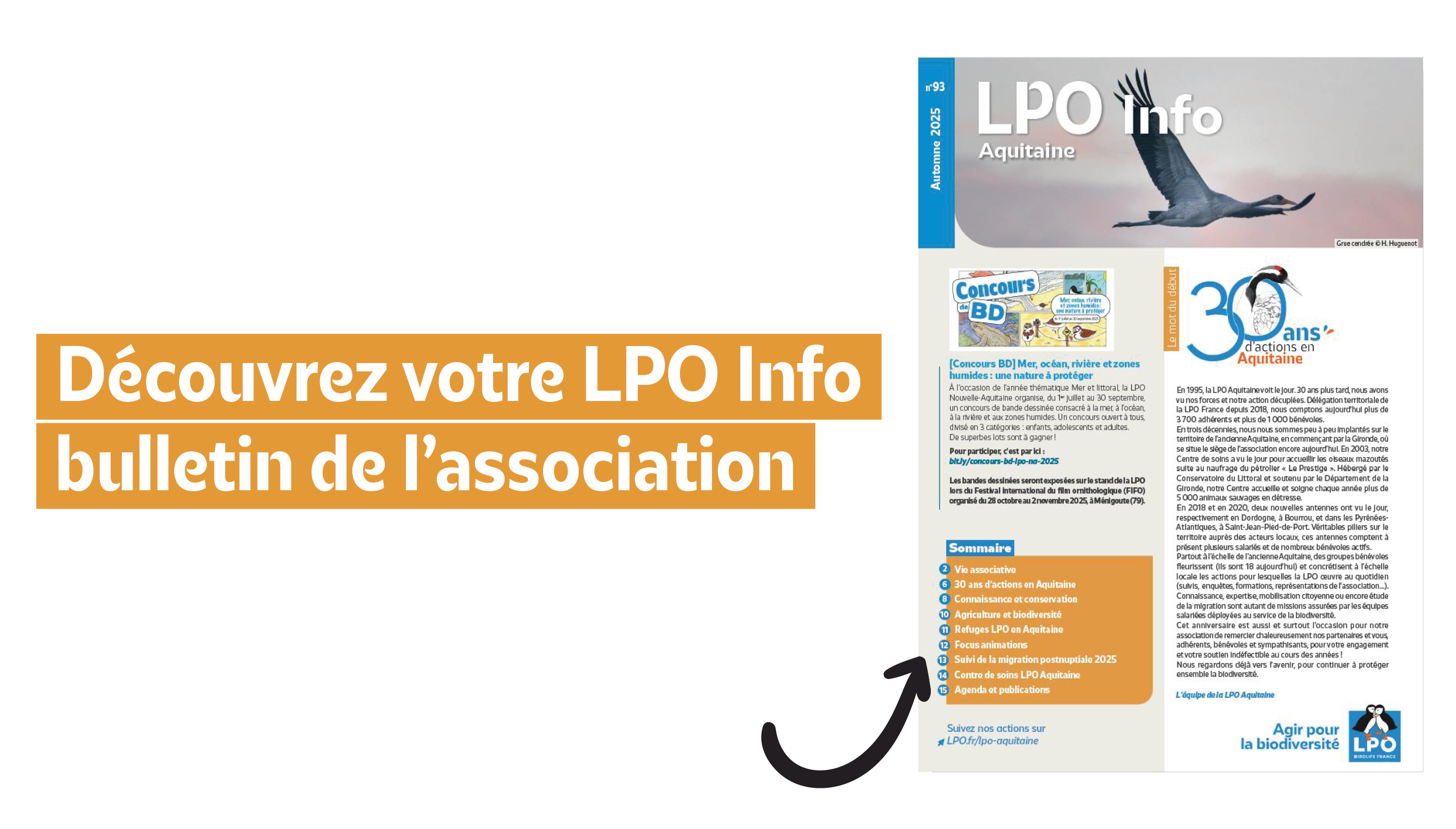 Découvrez le nouveau numéro du LPO Info Aquitaine !