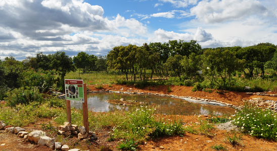 Invitation des adhérents LPO aux assises territoriales