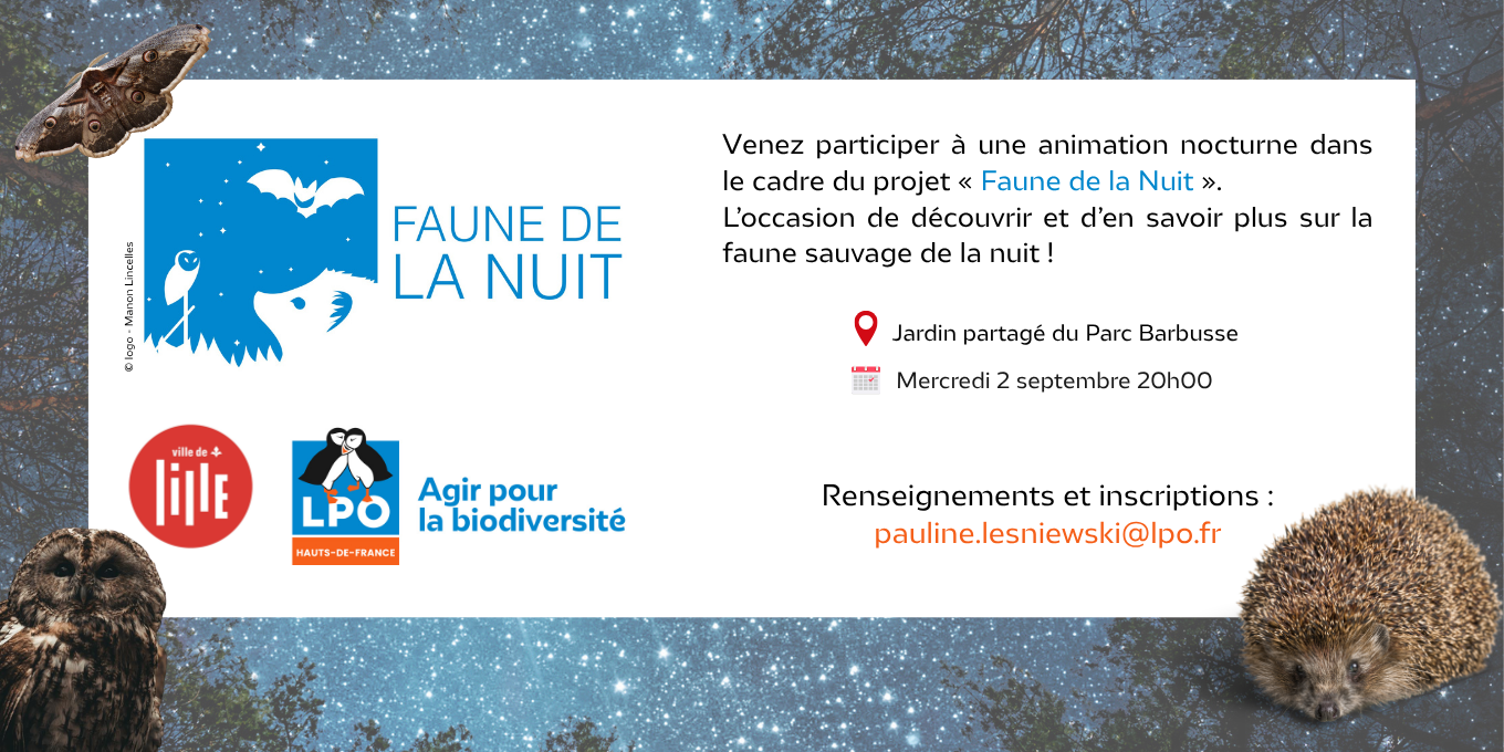 Sortie "Faune de la nuit"