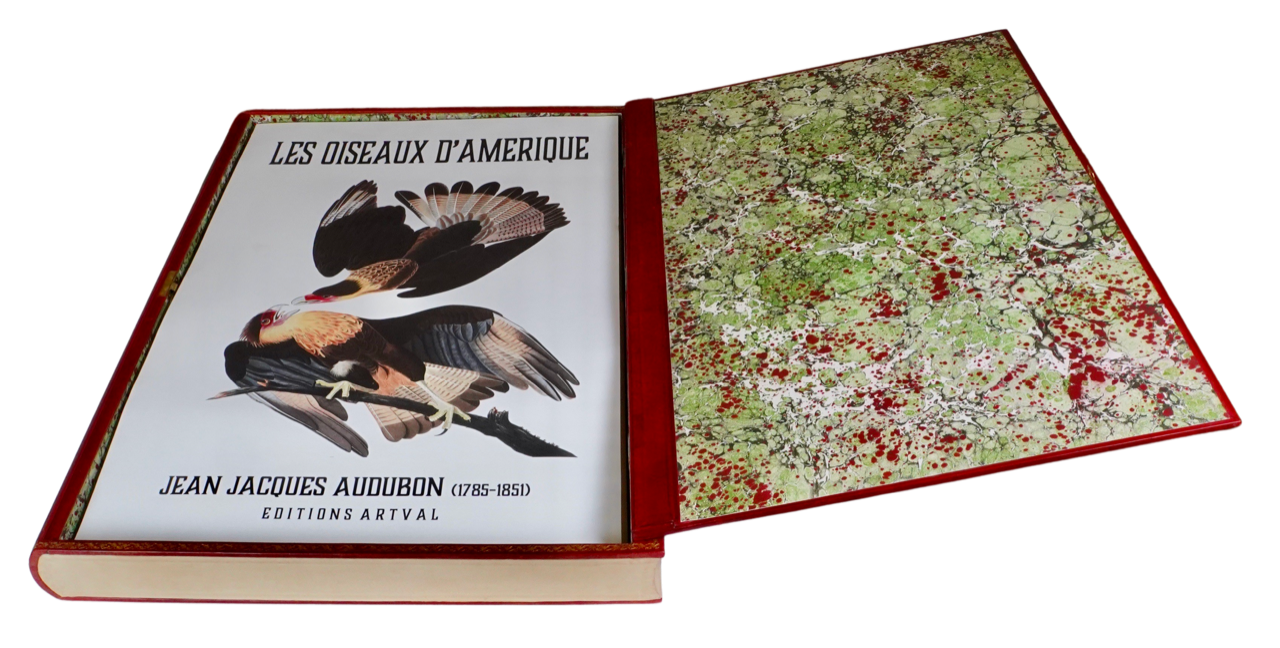 Réédition limitée de « The Birds of America », le chef d’œuvre de Jean Jacques Audubon