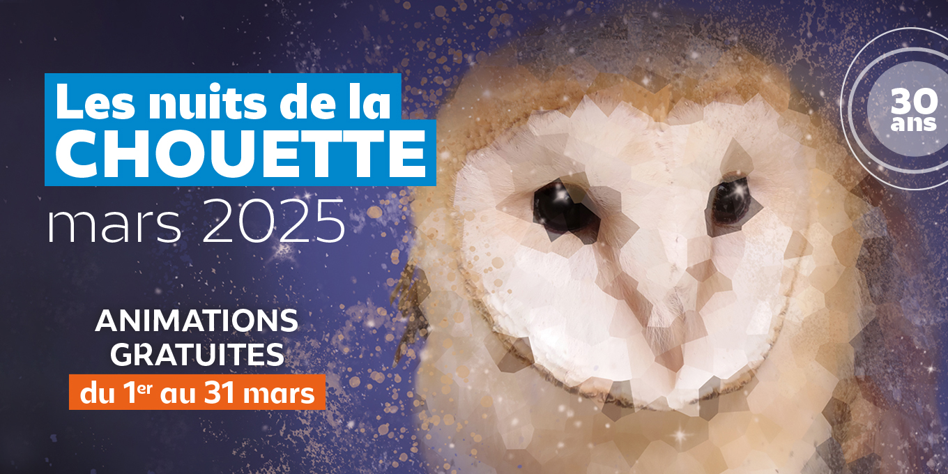 Les Nuits de la chouette fêtent leurs 30 ans
