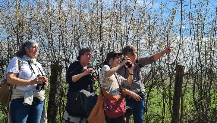 À la découverte des oiseaux de printemps à Riervescemont